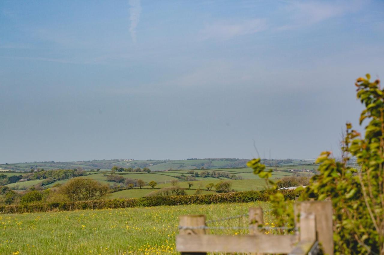 Maes Y Mel- A Couples, Pet Friendly, Rural Romantic Getaway With Countryside Views Gellywen Exterior foto